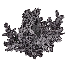 Faux White Bush