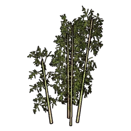Faux Bamboo B