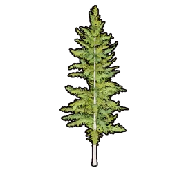 Faux Greenery C